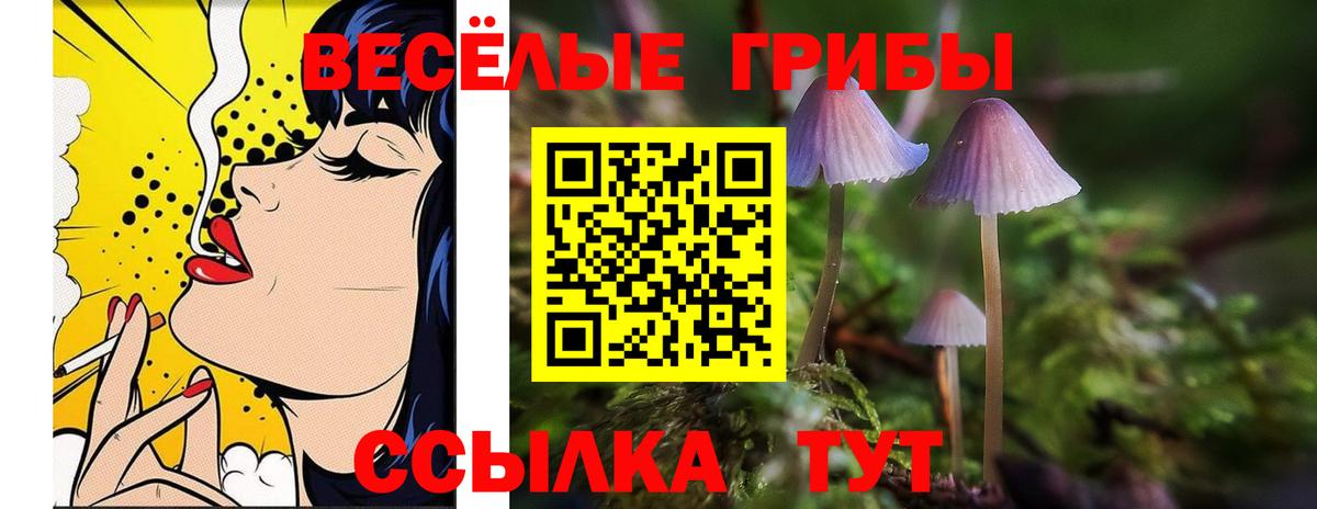 цены наркотик  Псилоцибиновые грибы Psilocybine cubensis  Вход с VPN  Лыткарино  Галлюциногенные грибы Magic Shrooms 